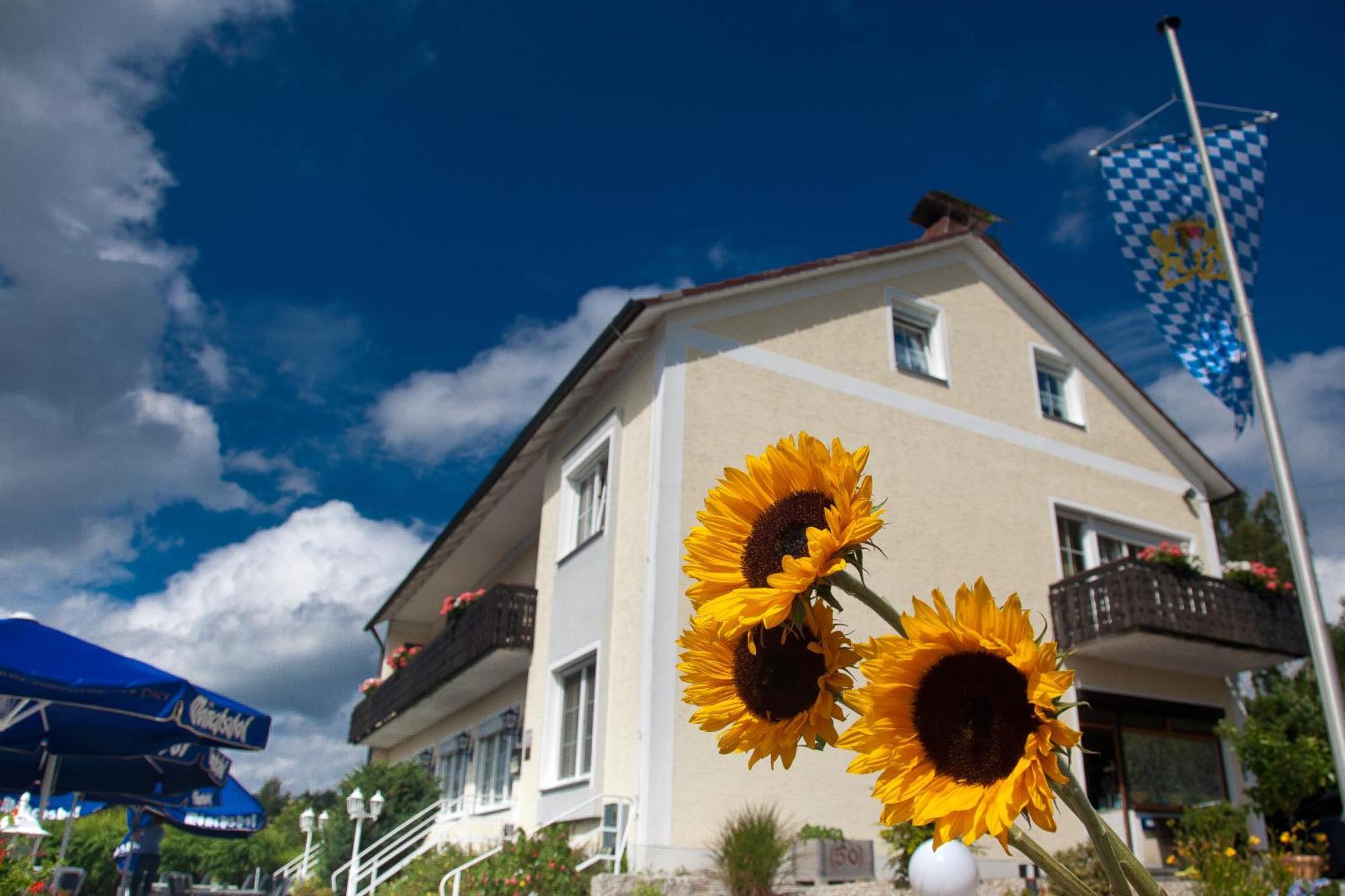 Landgasthof Am Sonnenhang Vohenstrauss Exterior photo